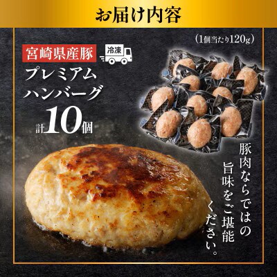宮崎県産豚プレミアムハンバーグ(計10個) 【T001-0105】