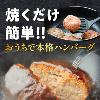 宮崎県産豚プレミアムハンバーグ(計20個)【T001-0125】