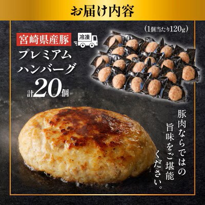 宮崎県産豚プレミアムハンバーグ(計20個)【T001-0125】