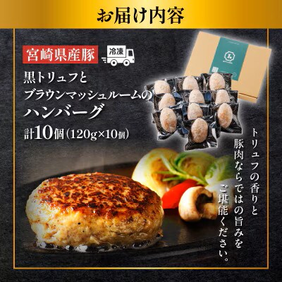 黒トリュフとブラウンマッシュルームのハンバーグ(計10個)【T001-0195】