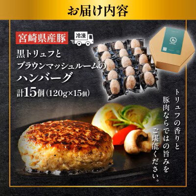 黒トリュフとブラウンマッシュルームのハンバーグ(計15個)【T001-0205】