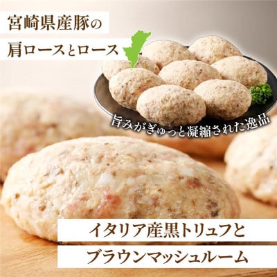 黒トリュフとブラウンマッシュルームのハンバーグ(計20個) 【T001-0215】