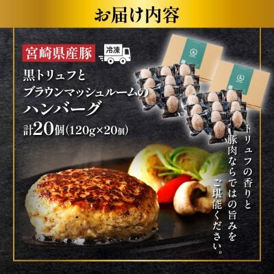黒トリュフとブラウンマッシュルームのハンバーグ(計20個) 【T001-0215】