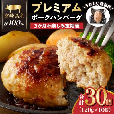 【毎月定期便】宮崎県産豚プレミアムハンバーグ(合計30個)【T001-0175】全3回