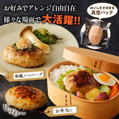 【毎月定期便】宮崎県産豚プレミアムハンバーグ(合計30個)【T001-0175】全3回