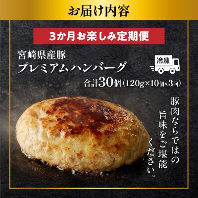 【毎月定期便】宮崎県産豚プレミアムハンバーグ(合計30個)【T001-0175】全3回