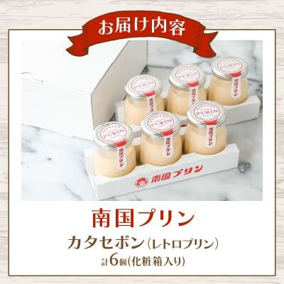 南国プリン「カタセボン(レトロプリン)」計6個 スイーツ【T038-0025】