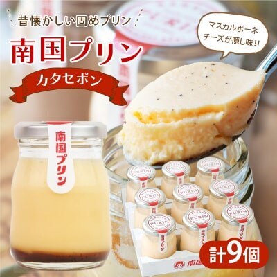 南国プリン「カタセボン(レトロプリン)」計9個 スイーツ【T038-0035】