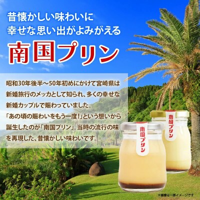南国プリン「カタセボン(レトロプリン)」計9個 スイーツ【T038-0035】