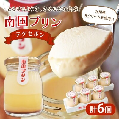南国プリン「テゲセボン(なめらかプリン)」計6個 スイーツ【T038-0045】