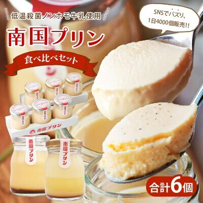 南国プリン食べ比べセット(合計6個) スイーツ【T038-0085】