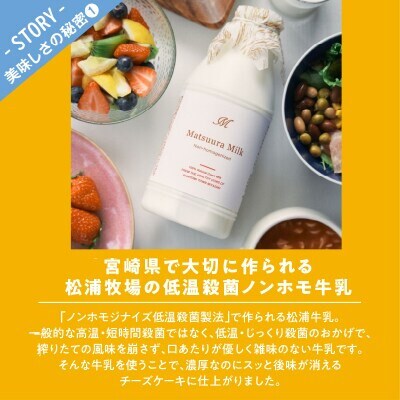 農の都で生まれた「都のチーズケーキ」計1個 スイーツ【T038-0095】