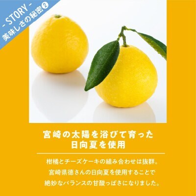 農の都で生まれた「都のチーズケーキ」計1個 スイーツ【T038-0095】