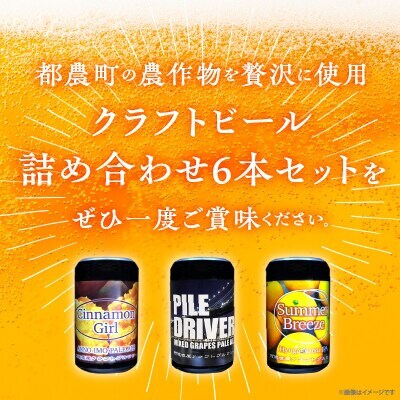都農クラフトビール詰め合わせ6本セット【T016-0035】
