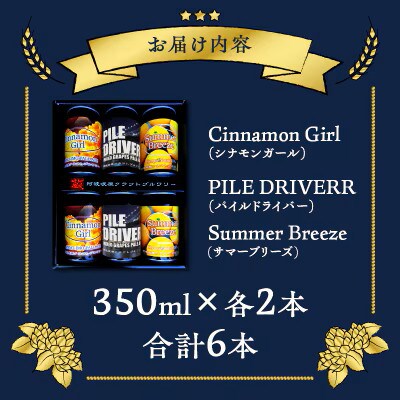 都農クラフトビール詰め合わせ6本セット【T016-0035】