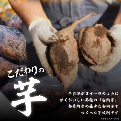 本格芋焼酎『尾鈴芋凰(おすずいもおう)』720ml×2本 (25度)【T016-0045】