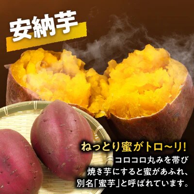 冷やし焼き芋(安納芋) 計2kg さつまいも【T016-0065】