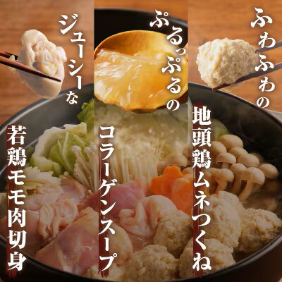 みやざき郷土料理セット 合計 約2.2kg【T017-0045】