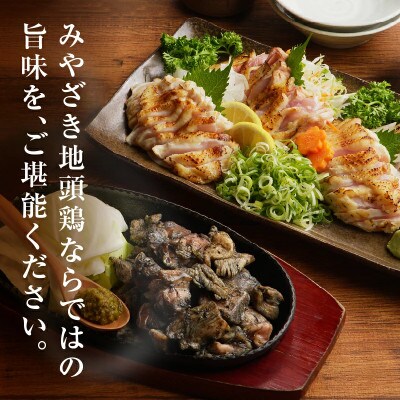 みやざき郷土料理セット 合計 約2.2kg【T017-0045】