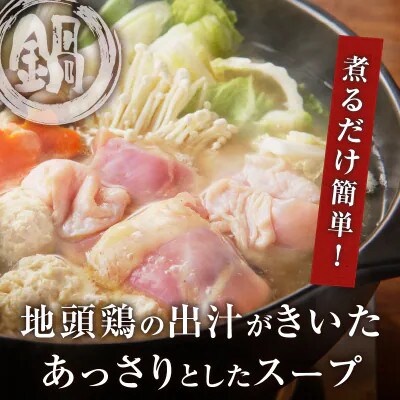 コラーゲン鍋セット(合計 約2.6kg)【T017-0055】