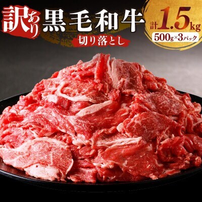 ≪訳あり≫黒毛和牛 切り落とし 計1.5kg(500g×3パック)【T025-0015】(都農町)