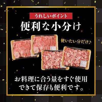 【訳あり】黒毛和牛 肩ロース & リブローススライス(計1kg)【T025-0025】(都農町)