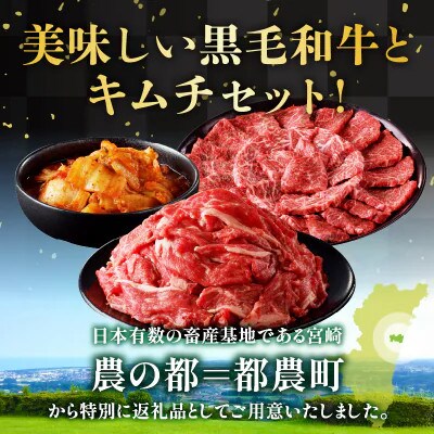 【訳あり】黒毛和牛切り落とし & カルビ焼肉 & キムチ(合計2kg)【T025-0035】(都農町