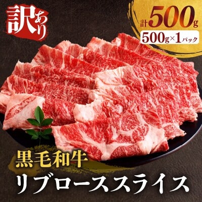 【訳あり】黒毛和牛 リブローススライス(計500g)【T025-0075】(都農町)