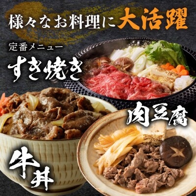 【訳あり】黒毛和牛 リブローススライス(計500g)【T025-0075】(都農町)