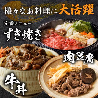 【訳あり】黒毛和牛 リブローススライス(計1.5kg)【T025-0095】(都農町)