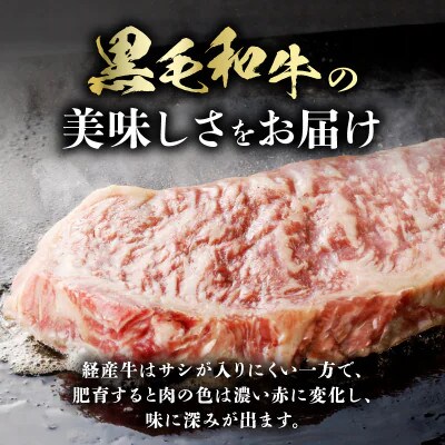 【訳あり】宮崎県産 黒毛和牛(経産牛)サーロインステーキ (計900g)【T025-0125】(都農