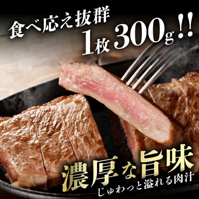 【訳あり】宮崎県産 黒毛和牛(経産牛)サーロインステーキ (計900g)【T025-0125】(都農