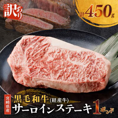 【訳あり】宮崎県産 黒毛和牛 サーロインステーキ 1ポンド(450g)【T025-0135】(都農町