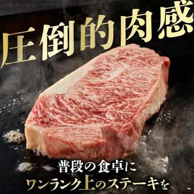 【訳あり】宮崎県産 黒毛和牛 サーロインステーキ 1ポンド(450g)【T025-0135】(都農町