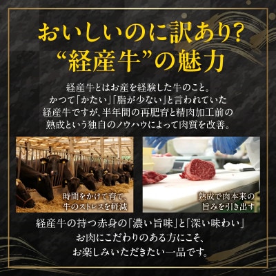 【訳あり】宮崎県産 黒毛和牛 サーロインステーキ 1ポンド(450g)【T025-0135】(都農町
