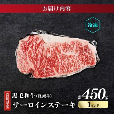 【訳あり】宮崎県産 黒毛和牛 サーロインステーキ 1ポンド(450g)【T025-0135】(都農町