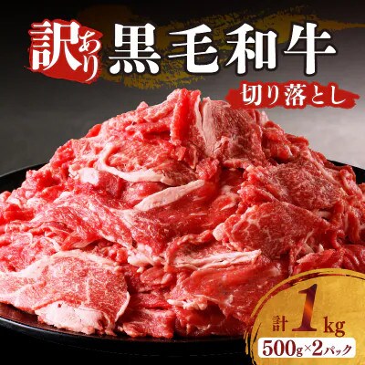 【訳あり】黒毛和牛 切り落とし 計1kg(500g×2)【T025-0385】(都農町)