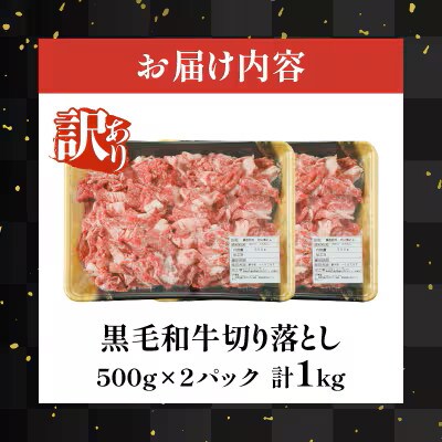 【訳あり】黒毛和牛 切り落とし 計1kg(500g×2)【T025-0385】(都農町)