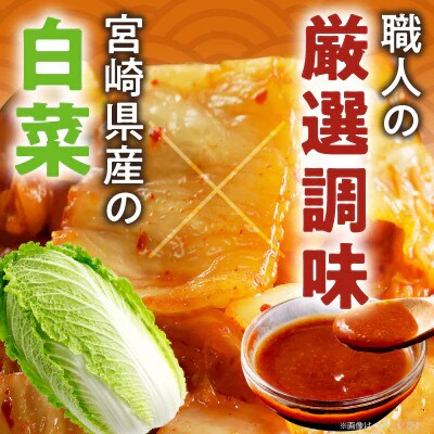 白菜キムチ 計1袋 (1kg) 漬物【T025-0405】(都農町)