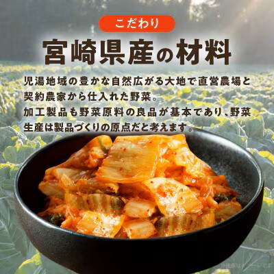 白菜キムチ 計1袋 (1kg) 漬物【T025-0405】(都農町)