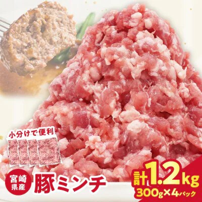 宮崎県産 豚ミンチ肉 計1.2kg(300g×4パック) 【T025-0415】(都農町)