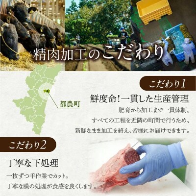 宮崎県産 豚ミンチ肉 計1.2kg(300g×4パック) 【T025-0415】(都農町)