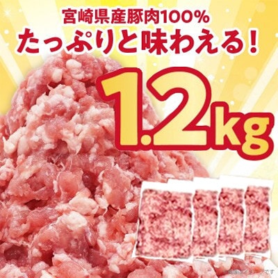 宮崎県産 豚ミンチ肉 計1.2kg(300g×4パック) 【T025-0415】(都農町)