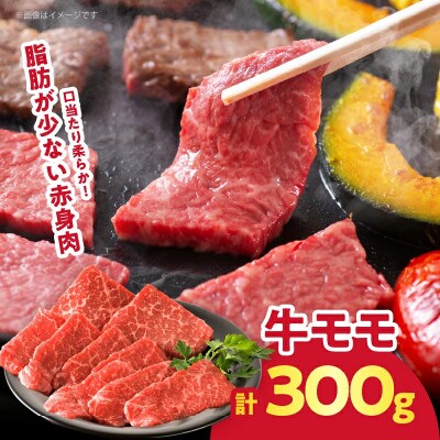 【訳あり】牛&豚 贅沢盛り合わせ(合計1.2kg)【T025-0455】(都農町)