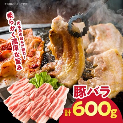 【訳あり】牛&豚 贅沢盛り合わせ(合計1.2kg)【T025-0455】(都農町)