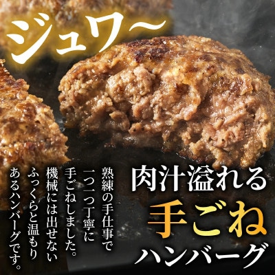 ≪手作り!!≫宮崎県産黒毛和牛肩ロース100% 『ハンバーグ』(計5個)【T025-0495】(都農