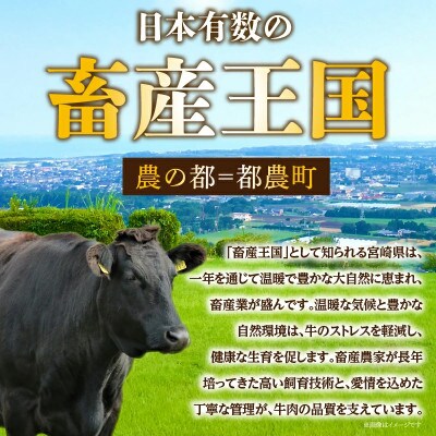 角切りサーロイン入 宮崎県産黒毛和牛肩ロース100%ハンバーグPREMIUM4個 T025-0505