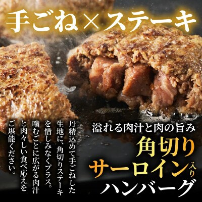 角切りサーロイン入 宮崎県産黒毛和牛肩ロース100%ハンバーグPREMIUM4個 T025-0505