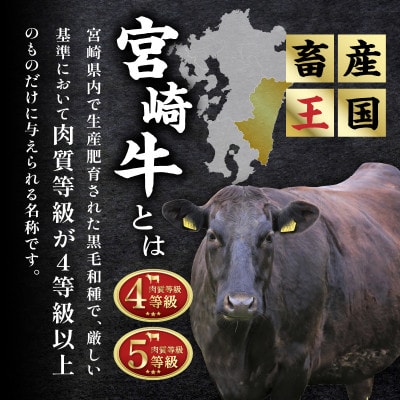 宮崎牛肩ロースステーキ(ハーフカット)計300g【T009-0055】