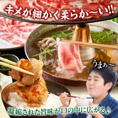 宮崎県産 豚ローススライス 計1.8kg【T009-0065】